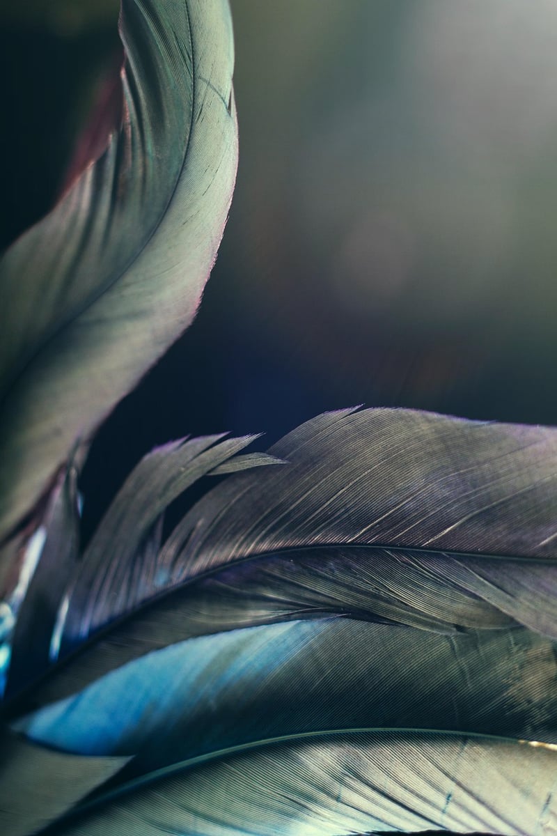 Elven Elegance